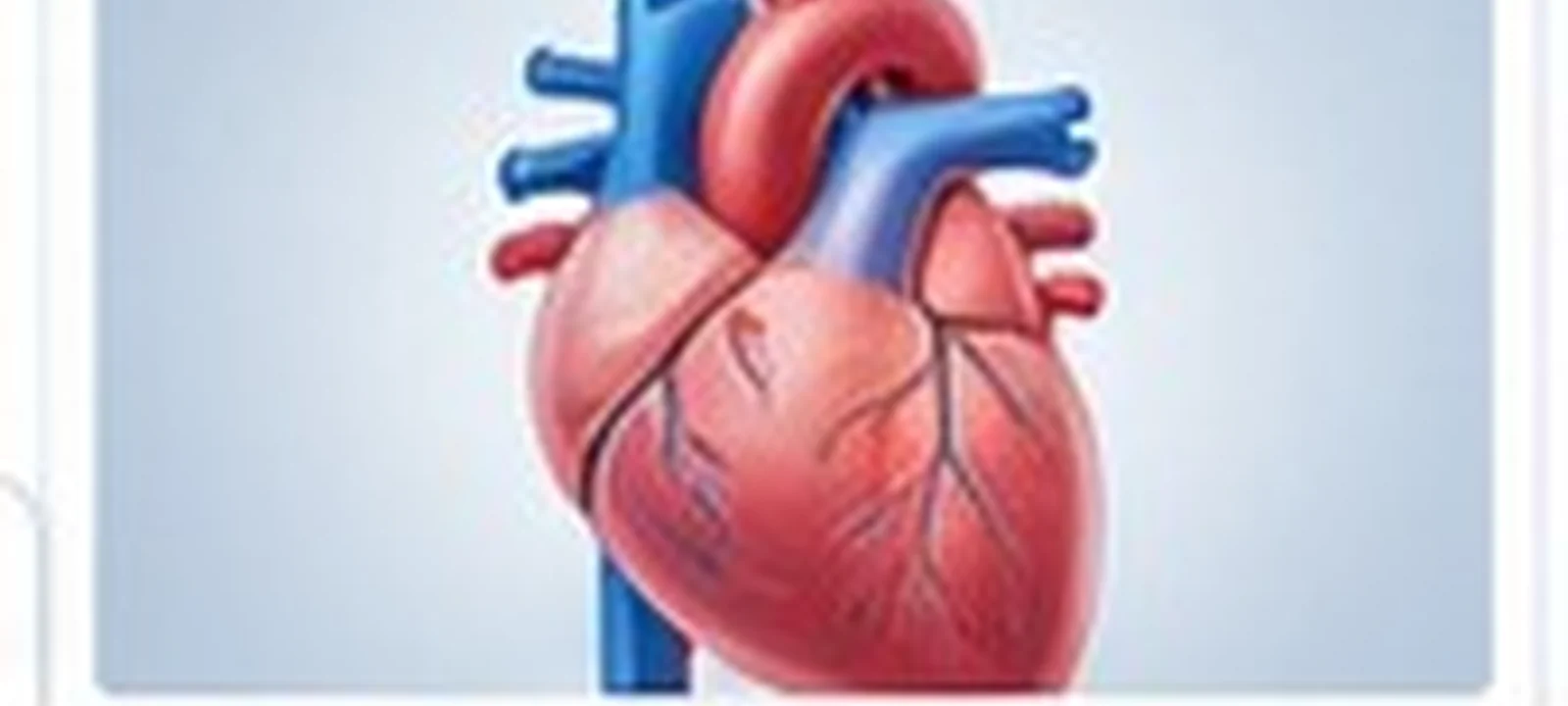 Heart Bypass Surgery medical care in India