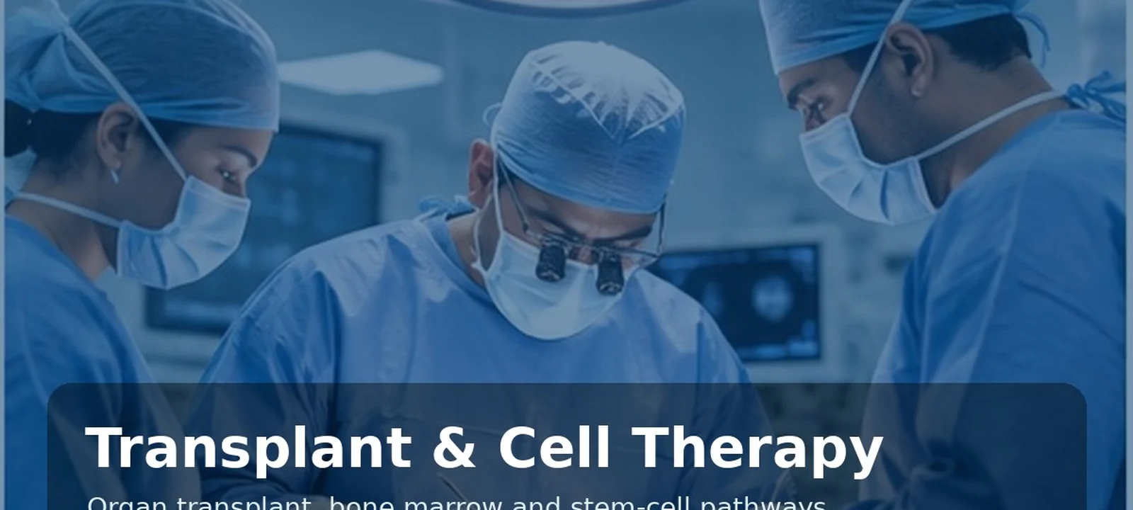 Liver Transplant medical care in India